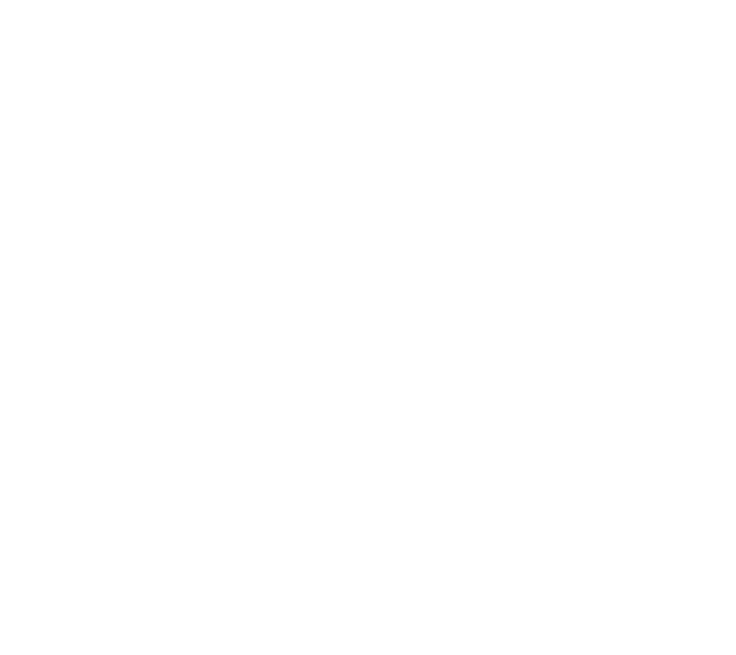 Logo ufficiale 30 Anniversary Volley Barletta